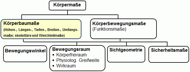 Ordnungsschema Körpermaße.gif