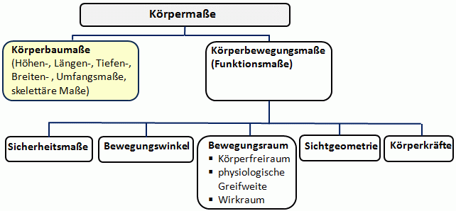 Ordnungsschema Koerpermasze.gif